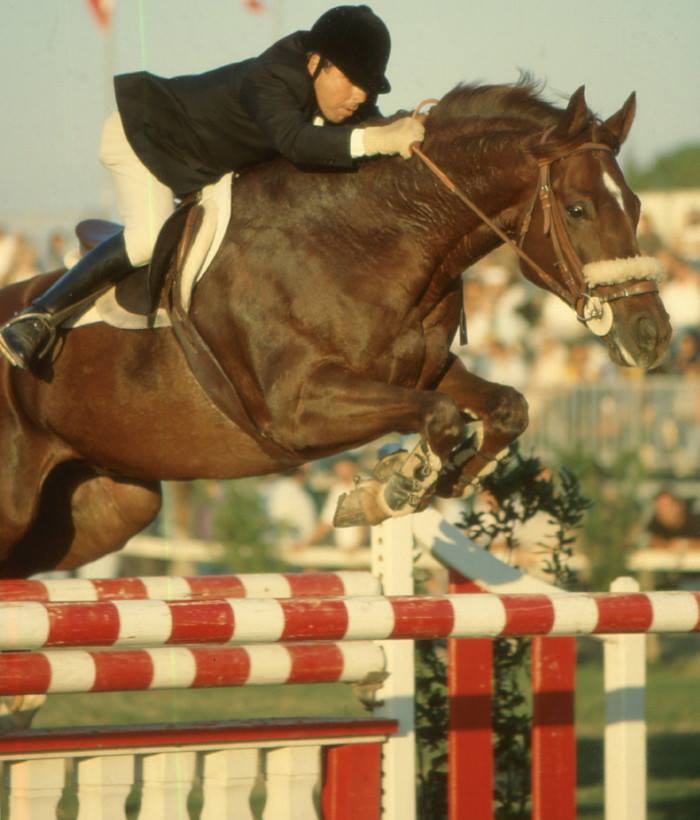 Giancarlo Gutierrez - Italian Showjumper